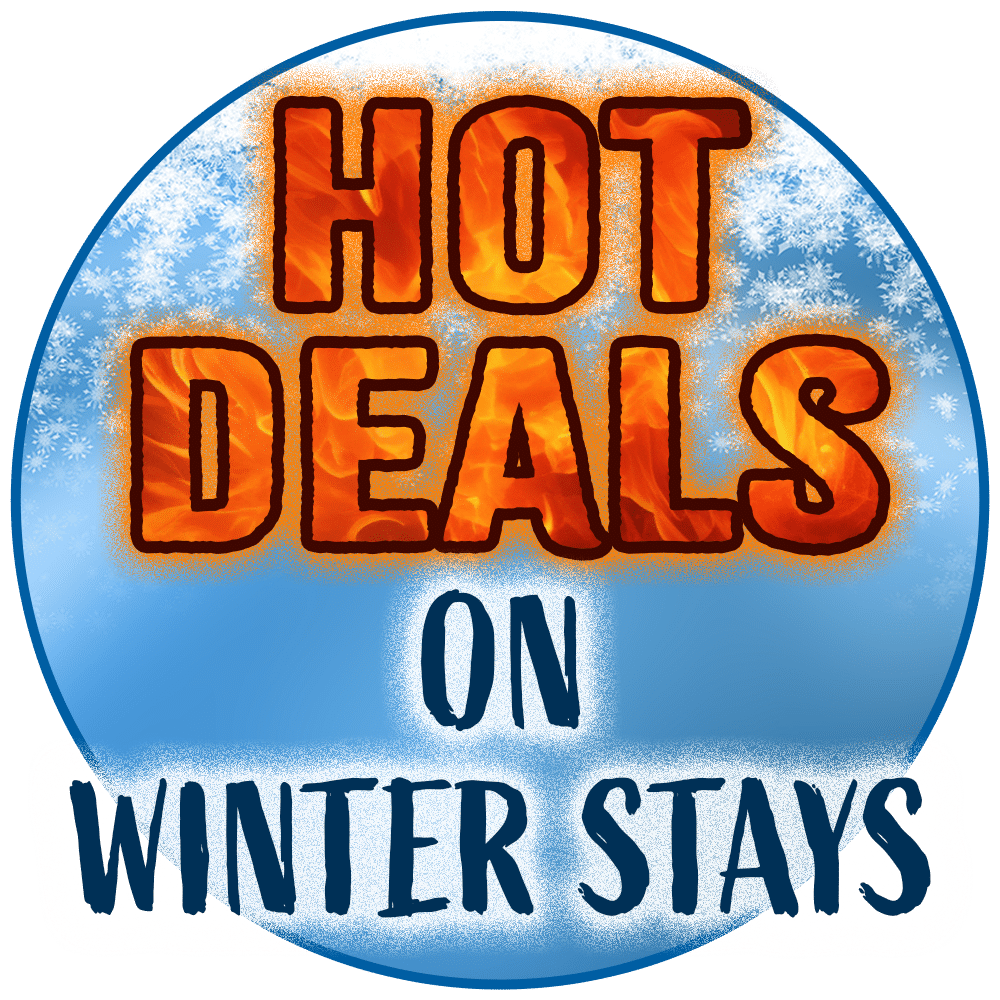 MS Winter Special Callout